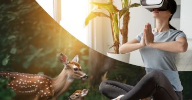 VR Headset in room with plant and forest with deer