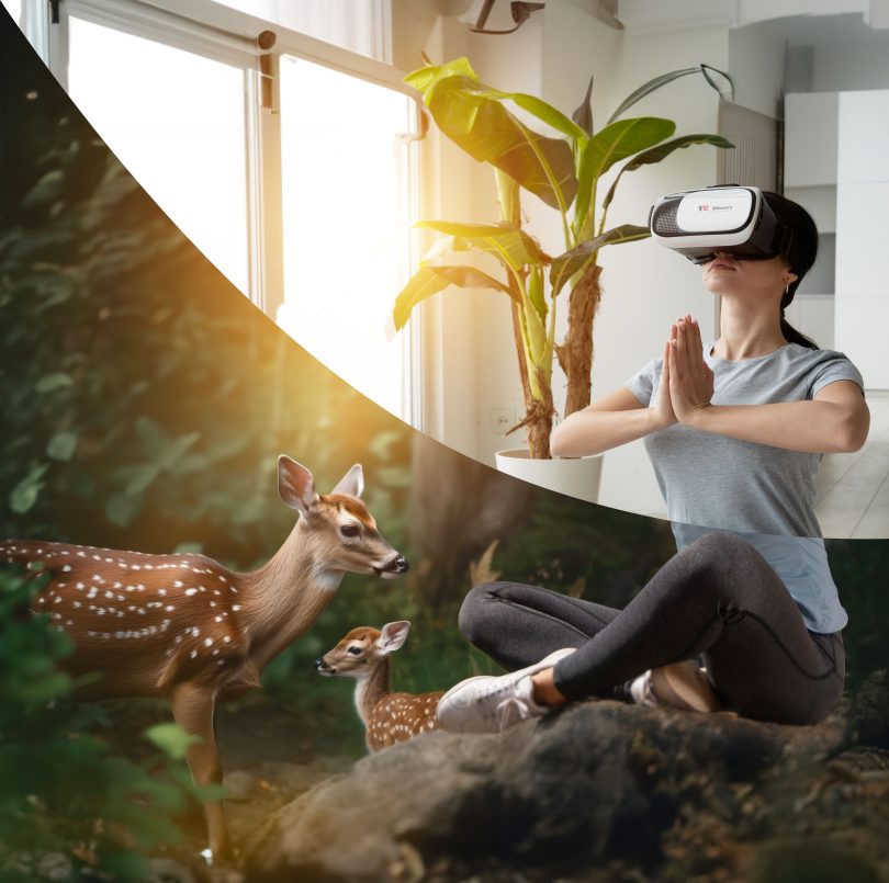 VR Headset in room with plant and forest with deer